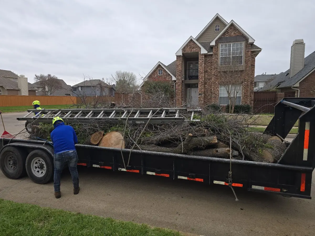 Expert Tree Pest Control with proper safety equipment in Bayard